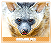 aardwolves01 aardwolves01
